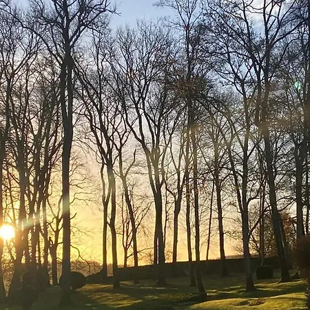 La Des Vignerons Montreuil-aux-Lions